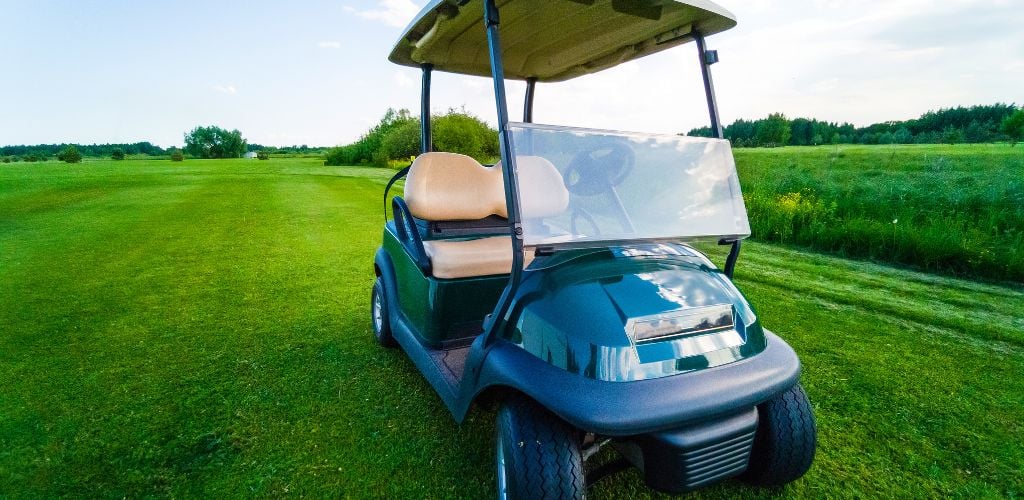 Private Golf Cart on the grass with trees at the background.