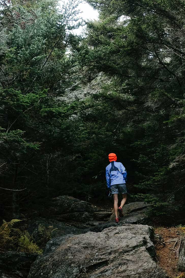 Mount Mitchell Summit Trail - Mt. Mitchell is the highest mountain in the Eastern United States. Here's your guide to the best hikes near Asheville NC // localadventurer.com