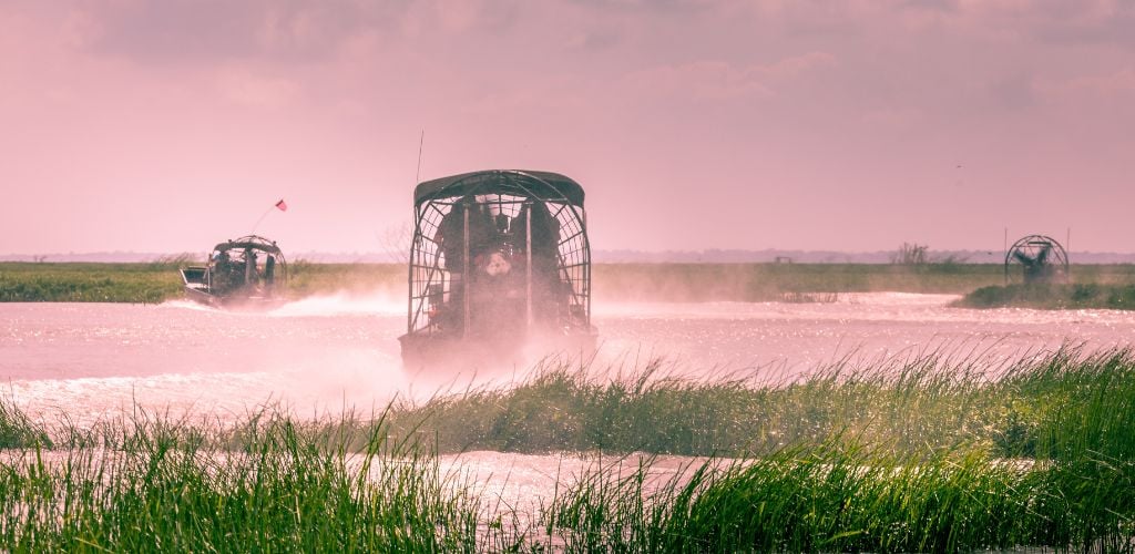 Everglades airboat ride in the lake. 