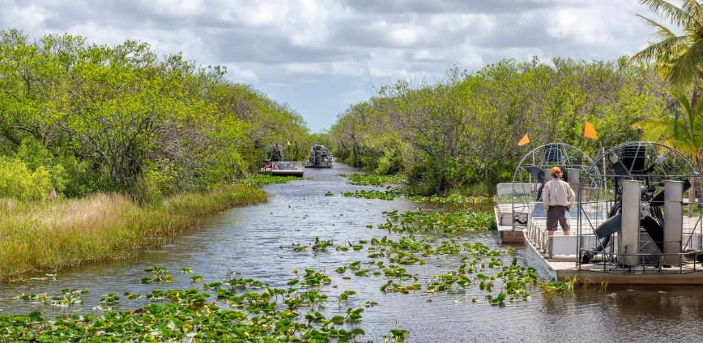 Airboats Tours in Everglades National Par surrounded by mangroves. 