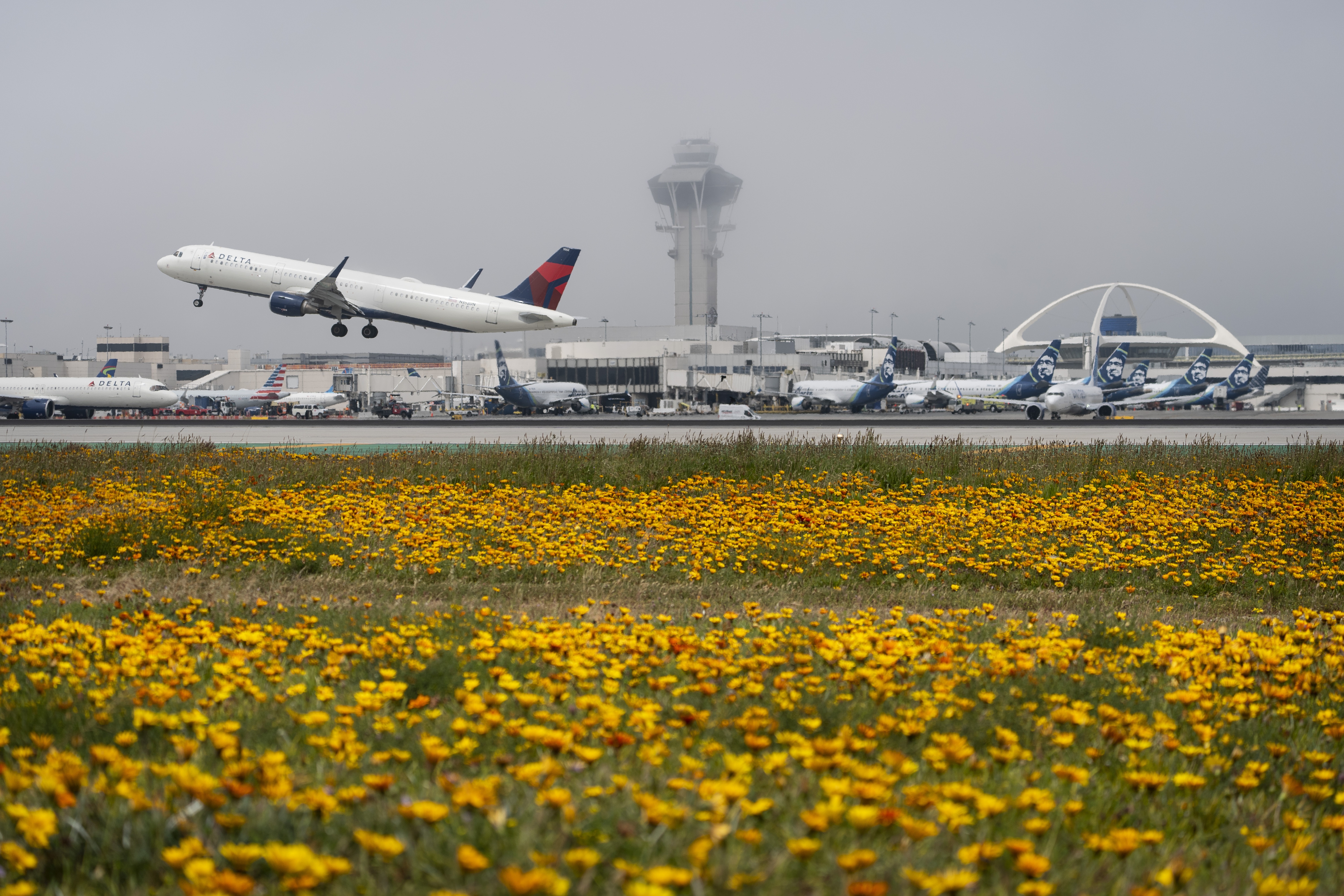 A Delta Air Lines jet takes off at the Los Angeles International Airport in April. Ed Bastian, the airline