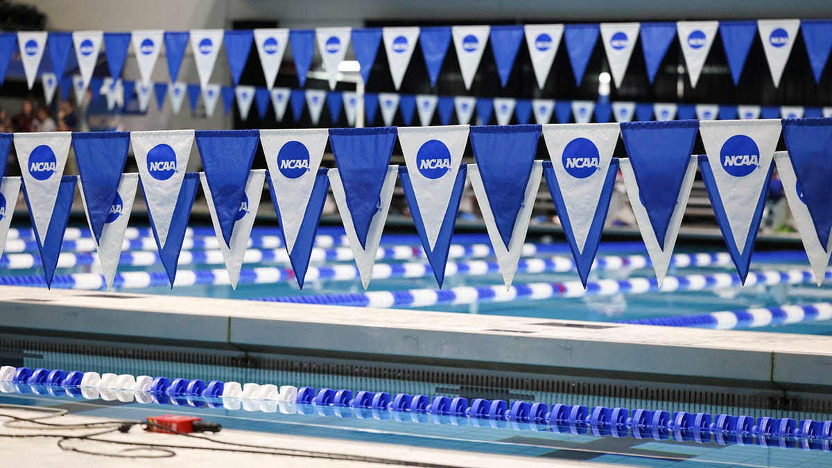 NCAA swimming championships