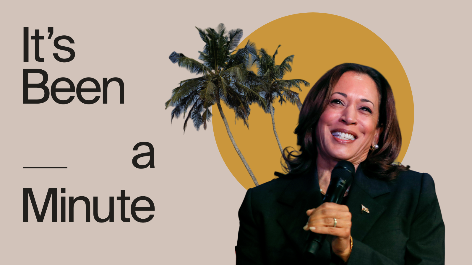 VP Kamala Harris has been the subject of many, many coconut tree memes.