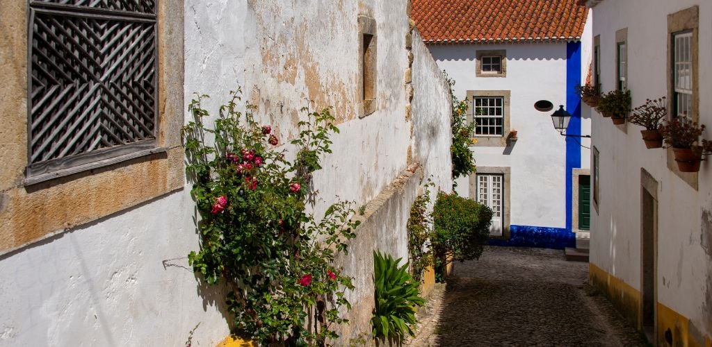 Typical example of a Portugese street. Building walls are painted white with blue details, with terracotta roof tiles. Small flowers line the streets. 