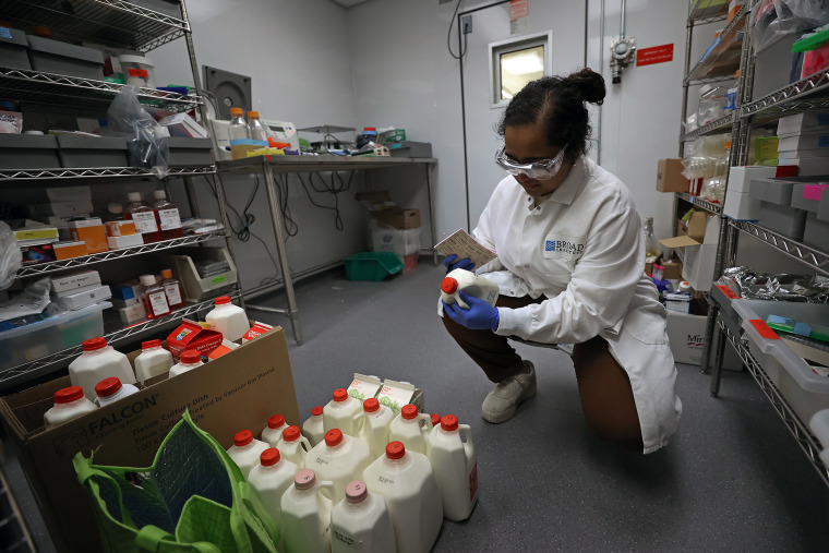 Fatinah Albeez, a research associate with the Broad Institute's Sabeti lab, tests milk samples for bird flu in Boston, Mass.