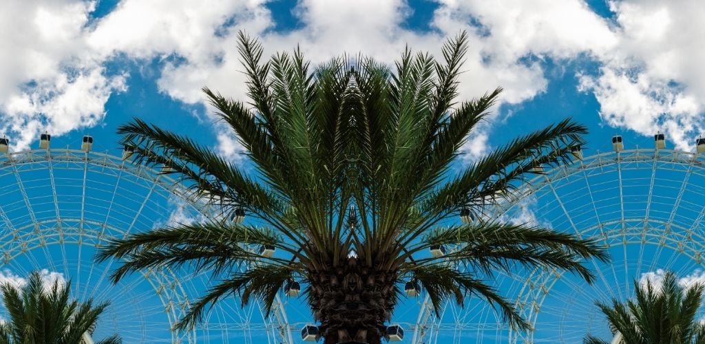 mirror image of Orlando Eye and palm trees