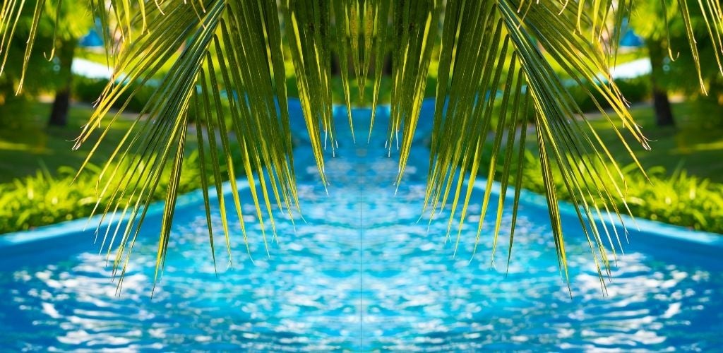 mirror image of lazy river ride at water park, palm tree leaves overhanding water 