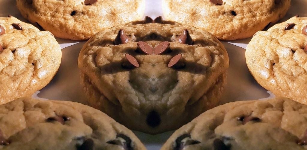 mirror image of baked chocolate chip cookies on parchment paper 